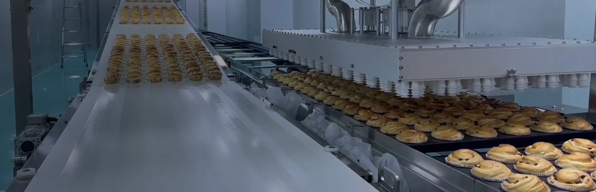 One-Stop Industrial Bakery Solutions