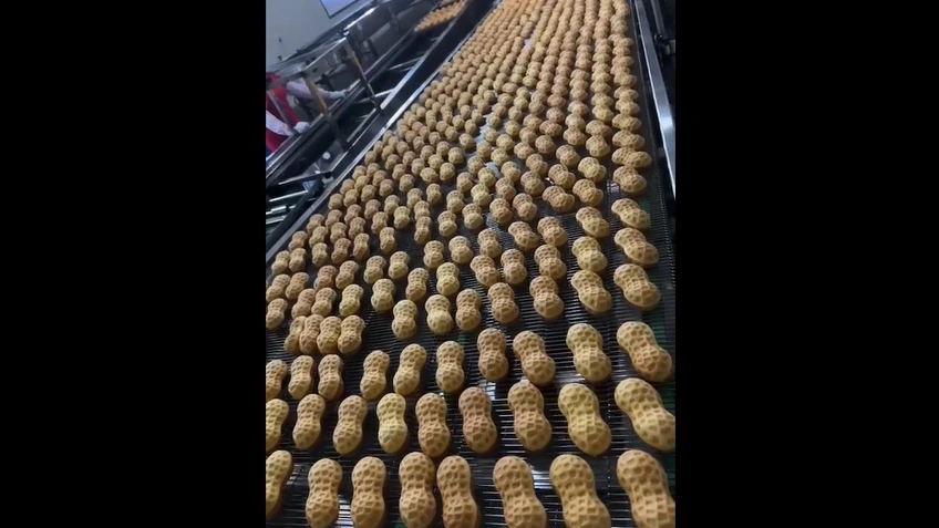 Противни для выпечки в форме арахиса