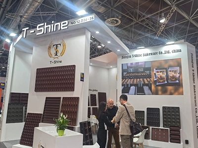 Участие в выставках